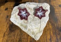 Brown Flower Earrings